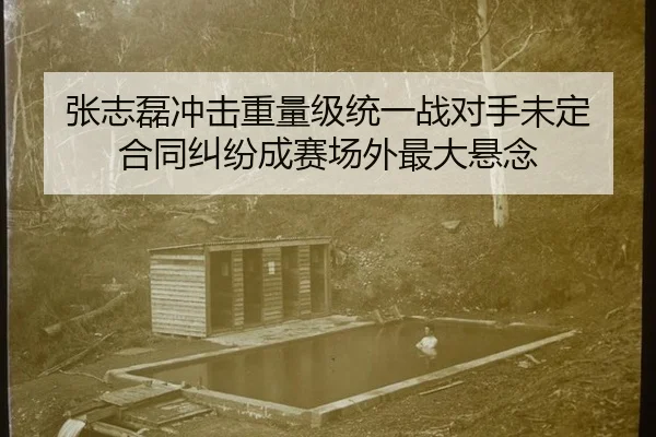 张志磊冲击重量级统一战对手未定 合同纠纷成赛场外最大悬念