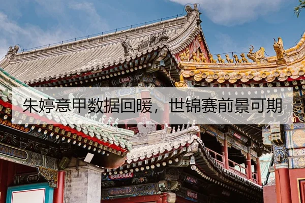 zhu-ting-yi-jia-shu-ju-hui-nuan-shi-jin-sai-qian-jing-ke-qi-3-315.jpg