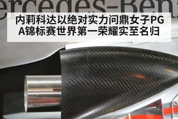 内莉科达以绝对实力问鼎女子PGA锦标赛世界第一荣耀实至名归